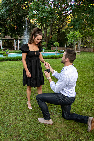 Andrew's Proposal to Alexis