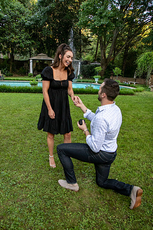 Andrew's Proposal to Alexis