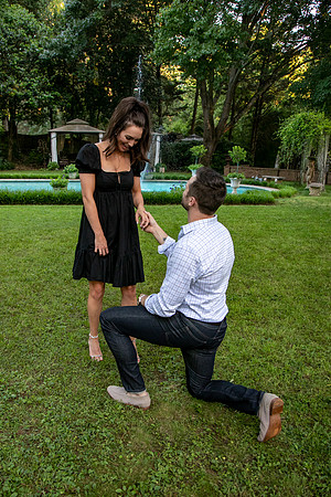 Andrew's Proposal to Alexis