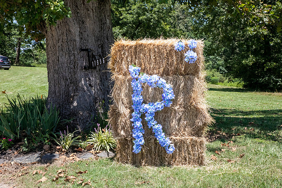 April & Will - Wedding Day 2020
