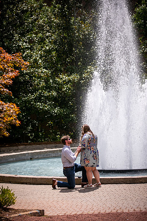 Courtney & Reid - Proposal Photos
