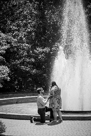 Courtney & Reid - Proposal Photos