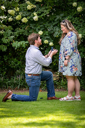Courtney & Reid - Proposal Photos