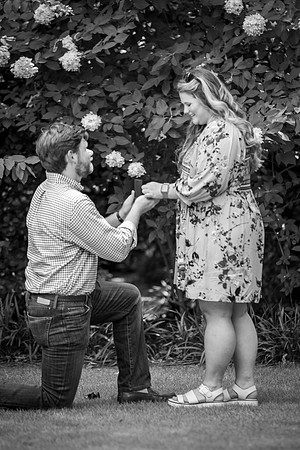 Courtney & Reid - Proposal Photos