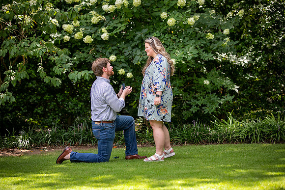 Courtney & Reid - Proposal Photos