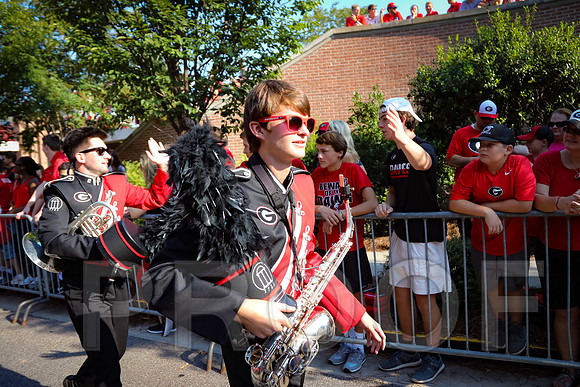 Georgia vs Nicholls 2016 Football