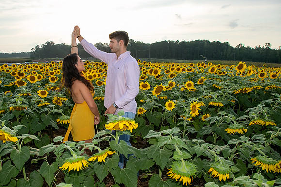 Southern & Rhett - Sunflower Field at the Iron Horse