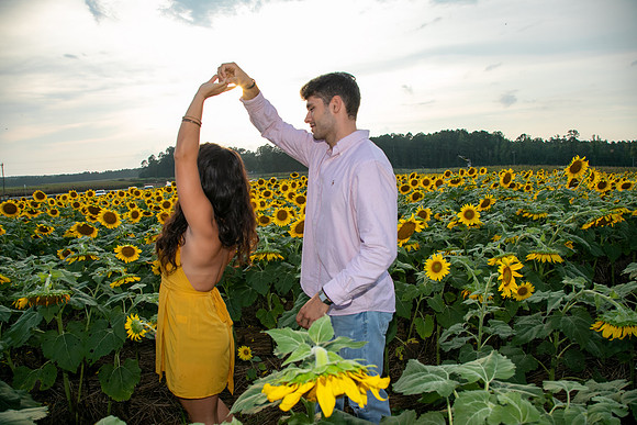Southern & Rhett - Sunflower Field at the Iron Horse