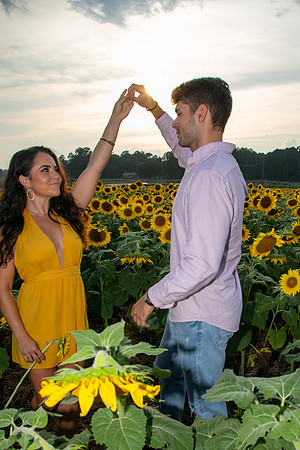 Southern & Rhett - Sunflower Field at the Iron Horse
