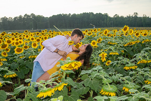 Southern & Rhett - Sunflower Field at the Iron Horse