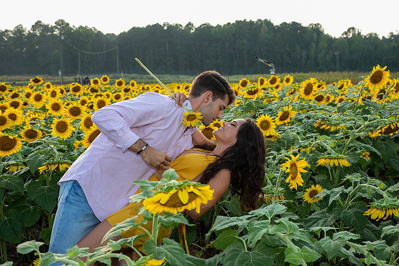 Southern & Rhett - Sunflower Field at the Iron Horse