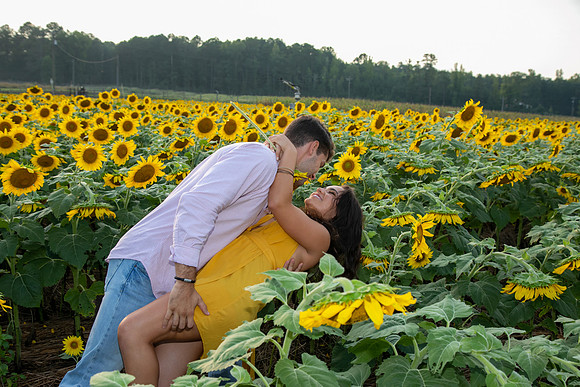 Southern & Rhett - Sunflower Field at the Iron Horse
