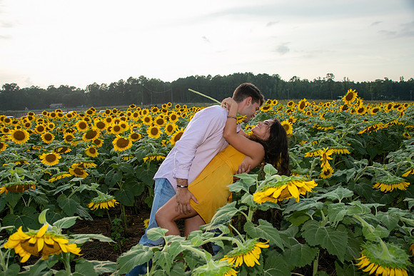 Southern & Rhett - Sunflower Field at the Iron Horse