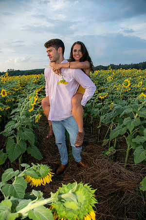 Southern & Rhett - Sunflower Field at the Iron Horse