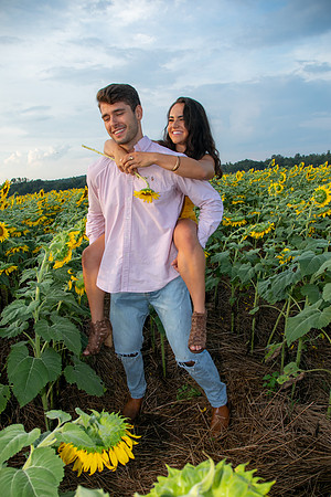 Southern & Rhett - Sunflower Field at the Iron Horse