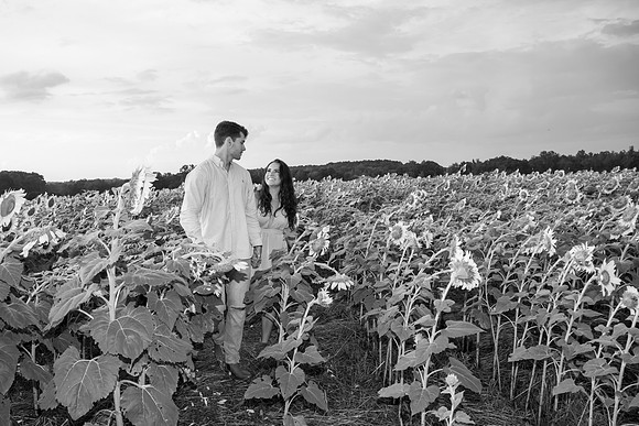 Southern & Rhett - Sunflower Field at the Iron Horse
