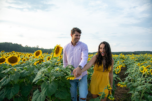 Southern & Rhett - Sunflower Field at the Iron Horse