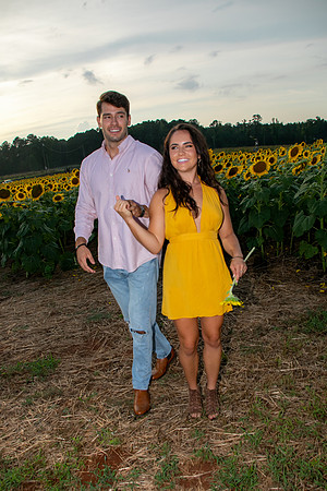 Southern & Rhett - Sunflower Field at the Iron Horse