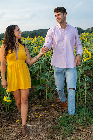Southern & Rhett - Sunflower Field at the Iron Horse