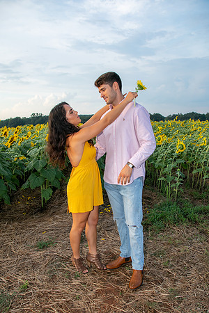 Southern & Rhett - Sunflower Field at the Iron Horse