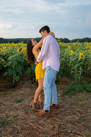 Southern & Rhett - Sunflower Field at the Iron Horse