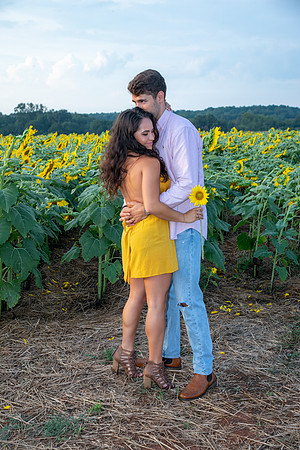 Southern & Rhett - Sunflower Field at the Iron Horse