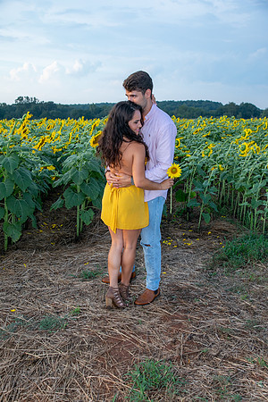 Southern & Rhett - Sunflower Field at the Iron Horse