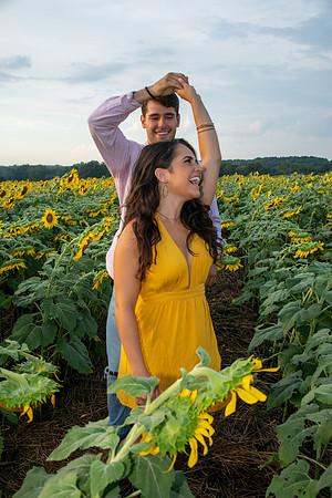 Southern & Rhett - Sunflower Field at the Iron Horse