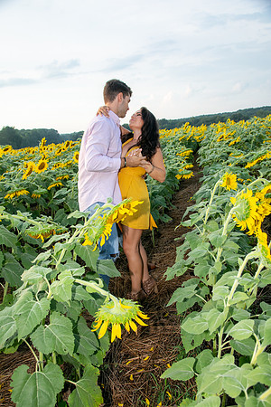 Southern & Rhett - Sunflower Field at the Iron Horse