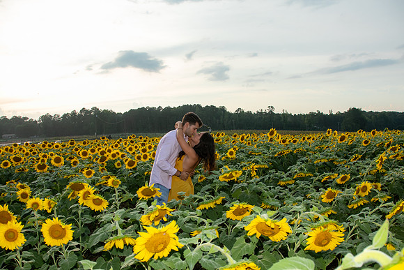 Southern & Rhett - Sunflower Field at the Iron Horse