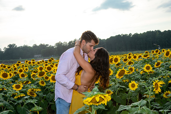 Southern & Rhett - Sunflower Field at the Iron Horse