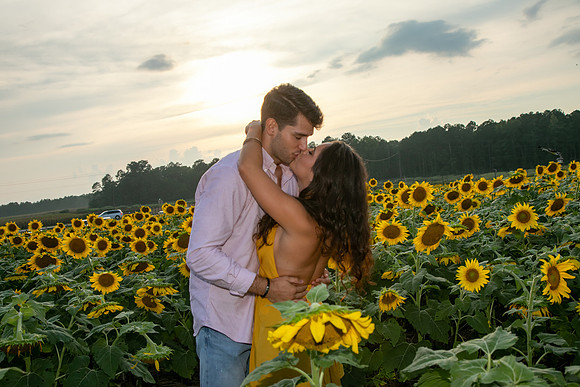 Southern & Rhett - Sunflower Field at the Iron Horse