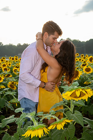 Southern & Rhett - Sunflower Field at the Iron Horse
