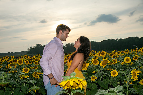 Southern & Rhett - Sunflower Field at the Iron Horse