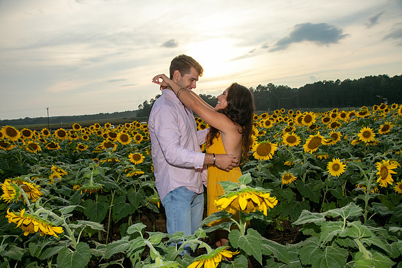 Southern & Rhett - Sunflower Field at the Iron Horse