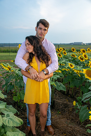Southern & Rhett - Sunflower Field at the Iron Horse