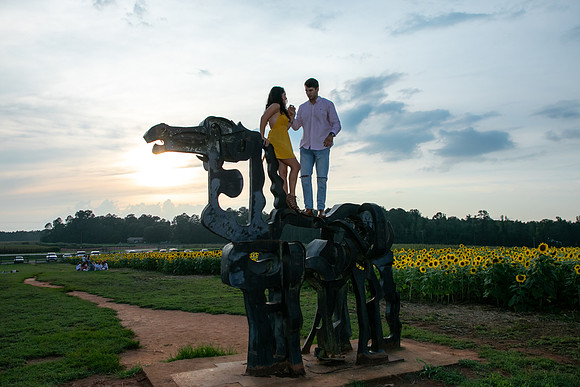 Southern & Rhett - Sunflower Field at the Iron Horse
