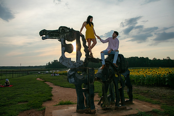 Southern & Rhett - Sunflower Field at the Iron Horse