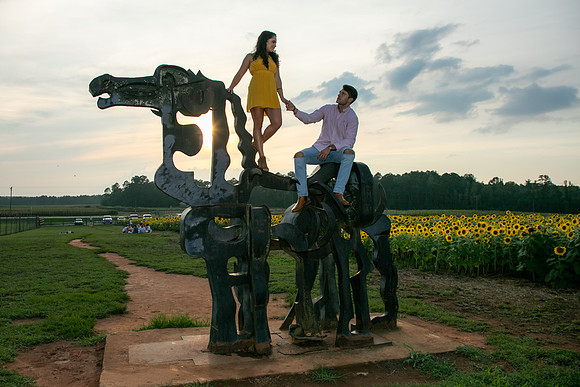 Southern & Rhett - Sunflower Field at the Iron Horse