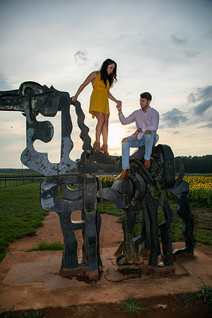 Southern & Rhett - Sunflower Field at the Iron Horse