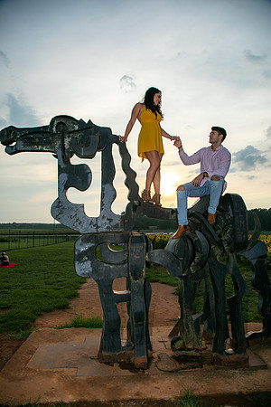 Southern & Rhett - Sunflower Field at the Iron Horse
