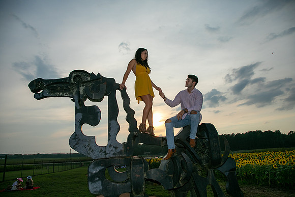 Southern & Rhett - Sunflower Field at the Iron Horse
