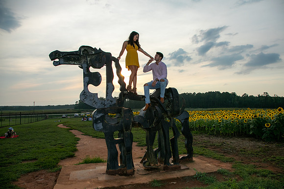Southern & Rhett - Sunflower Field at the Iron Horse