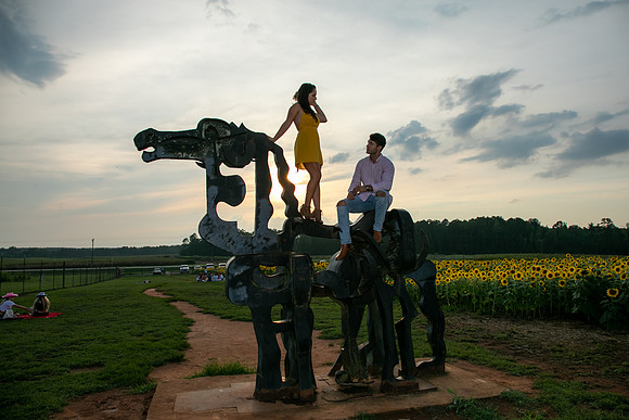 Southern & Rhett - Sunflower Field at the Iron Horse