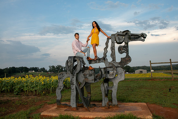 Southern & Rhett - Sunflower Field at the Iron Horse