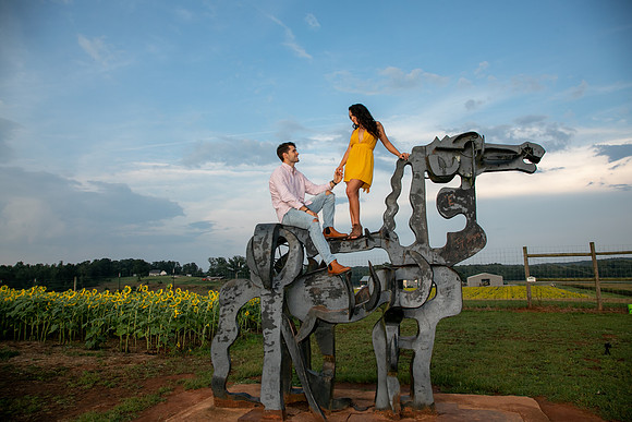 Southern & Rhett - Sunflower Field at the Iron Horse