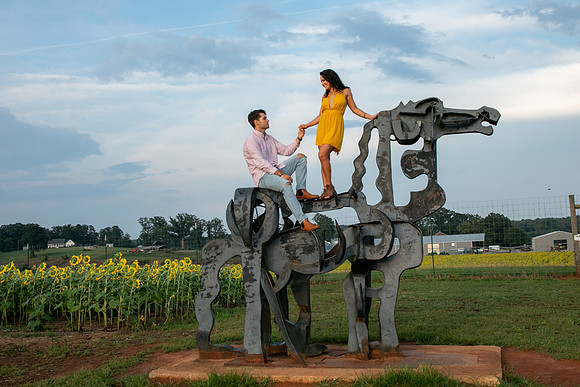 Southern & Rhett - Sunflower Field at the Iron Horse