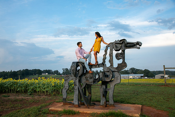 Southern & Rhett - Sunflower Field at the Iron Horse