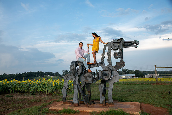 Southern & Rhett - Sunflower Field at the Iron Horse