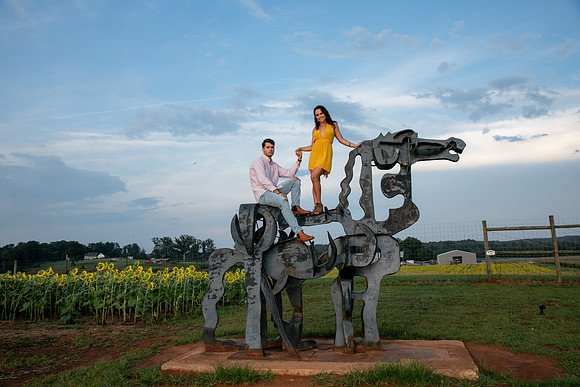 Southern & Rhett - Sunflower Field at the Iron Horse